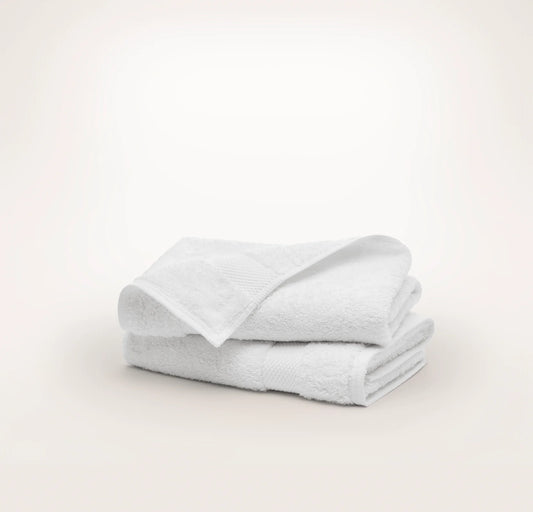 Plush Hand Towels (Pair)